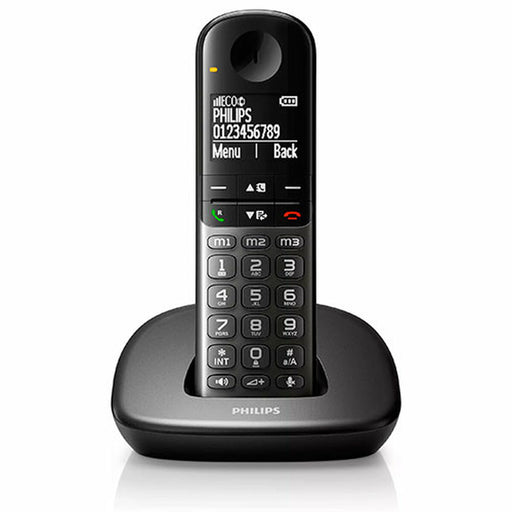 Wireless Phone Philips XL4901DS/34