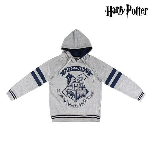 Unisex Hoodie Harry Potter 75349 Grey