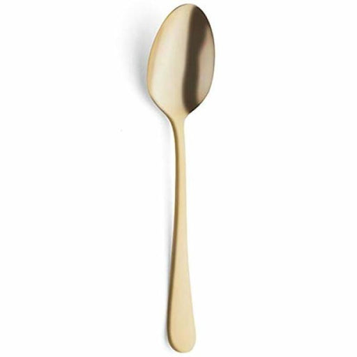 Spoon Amefa Austin Gold 20,5 cm - 2,5 mm 12 Units
